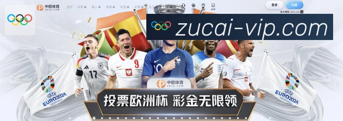 未来规划