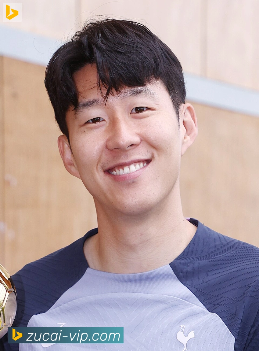 维尼修斯